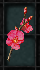 RedBranch
