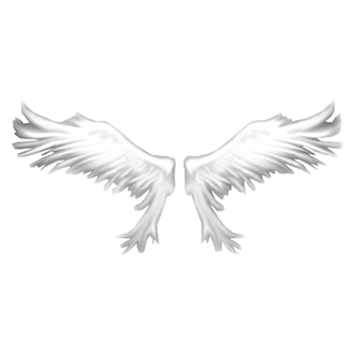 Small Wings of Heaven 