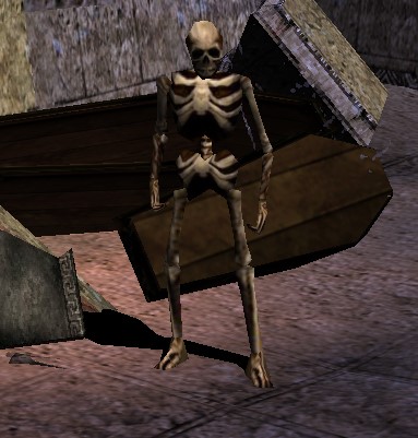 Skeleton