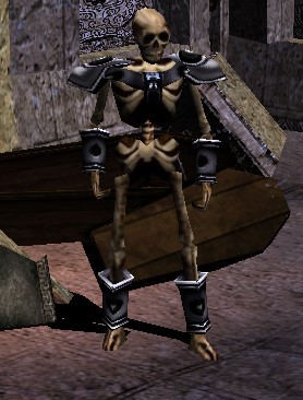 Chief Skeleton Warrior