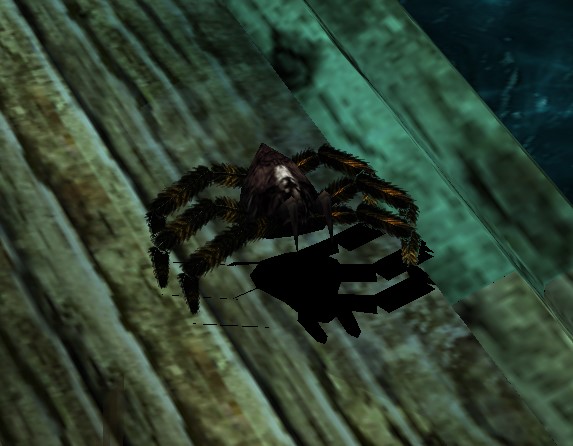 Spider